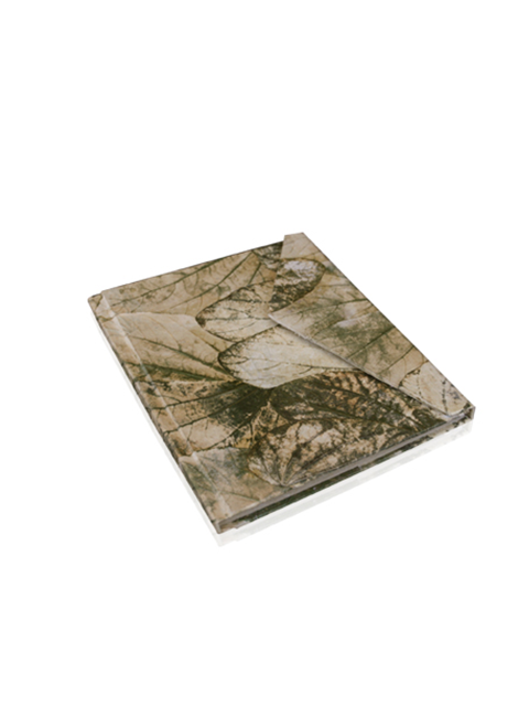 book-with-snap-closure