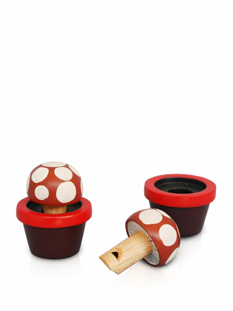whistle-mushroom-in-a-pot